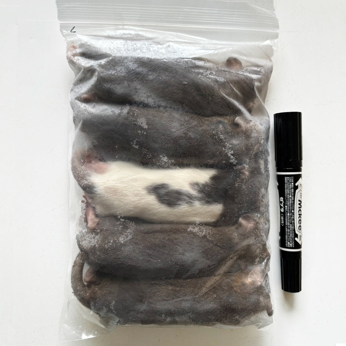 国産冷凍アダルトラットS 約140g 5匹入り – サイエンスファーム