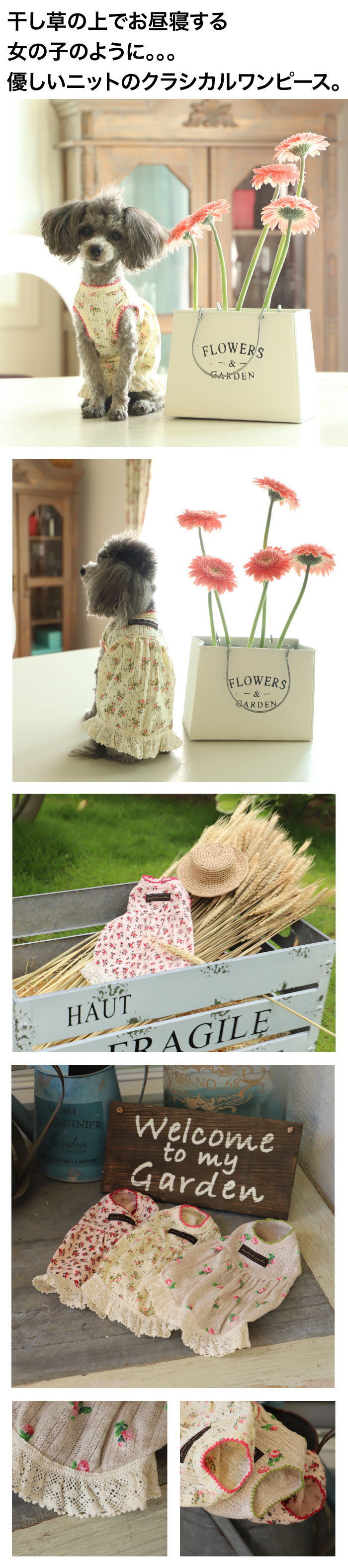 GG MADE IN TOKYO.』『GG+KIITI』『GG DENIM LINE』『Chocolat de