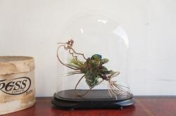 HOMEWARD [ホームワード] / フランスアンティーク グローブ ド マリエ