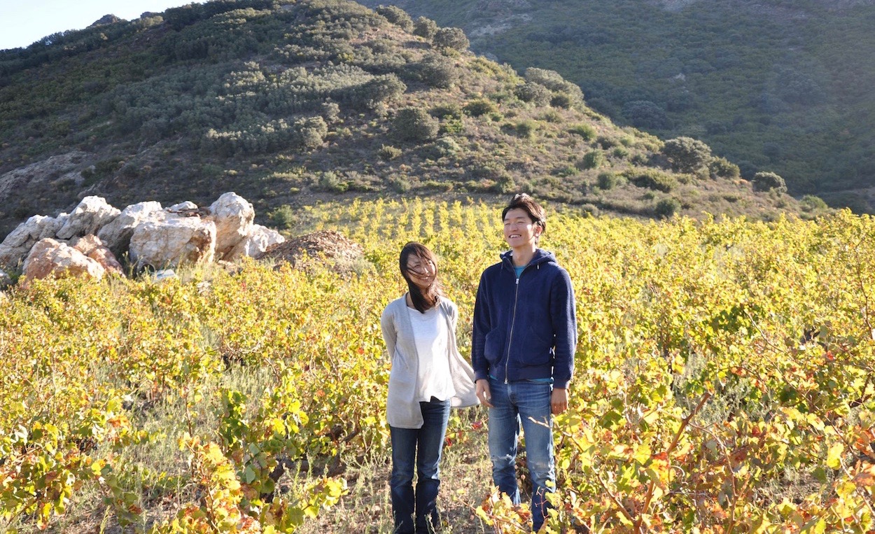 ペドレス・ブランケス - Pedres Blanques - [フランスワイン輸入・販売