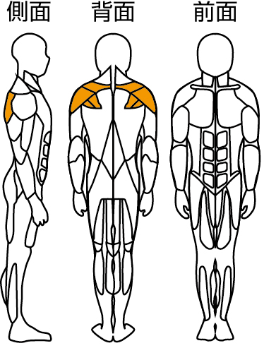 肩楽訓（鍛錬マシン/コンディショニングラインシリーズ）