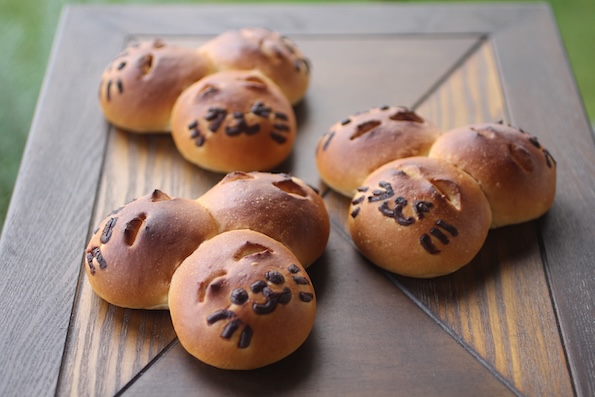 月刊にいがた50th Special Menu・パン日和 のらの休日】表情豊かな3匹