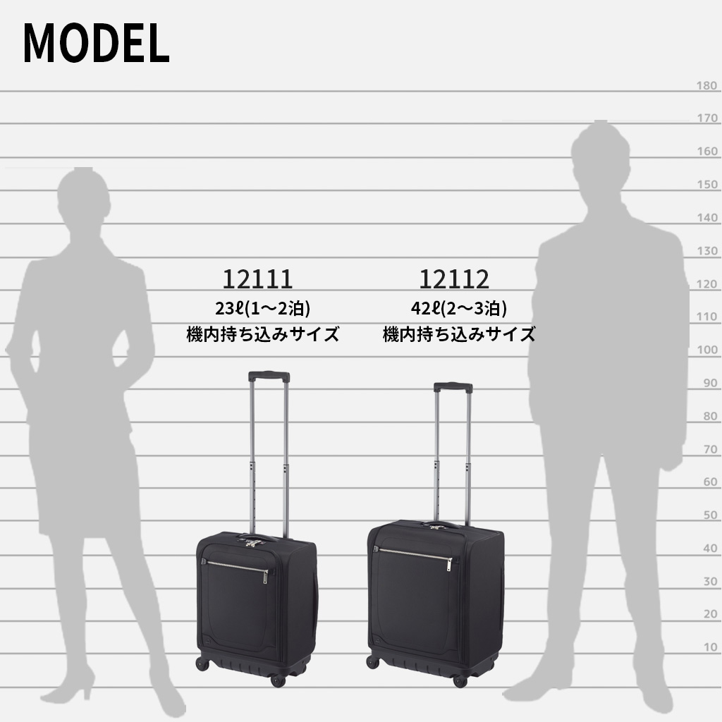 楽天市場】【ノベルティ特典】 エース プロテカ マックスパスソフト4