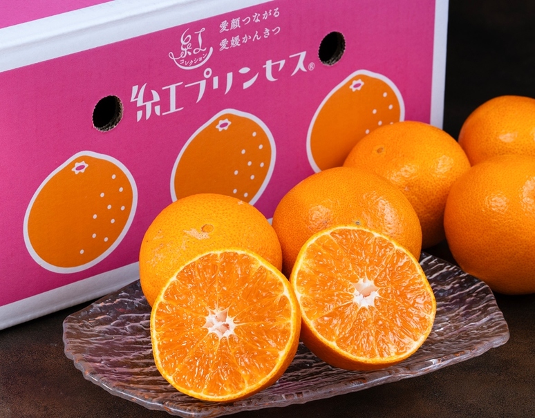 新品種「紅プリンセス（品種：愛媛果試第48号）」愛媛県産 柑橘 M〜4L