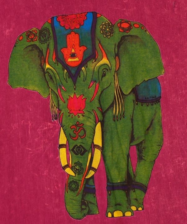 アシカラメンズTシャツ(ELEPHANT): 『チャイハネ』公式通販