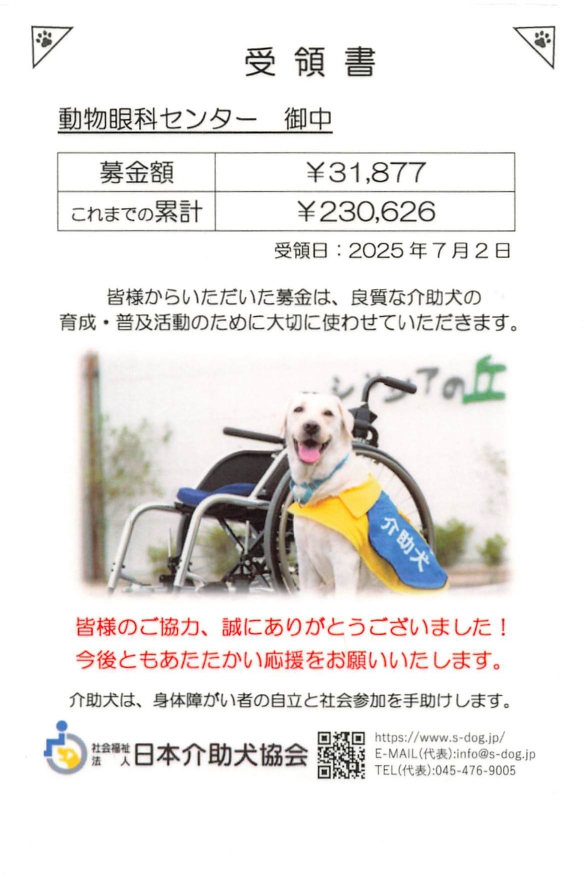 裁断済み犬と猫の眼科手術入門 犬と猫の眼科手術入門