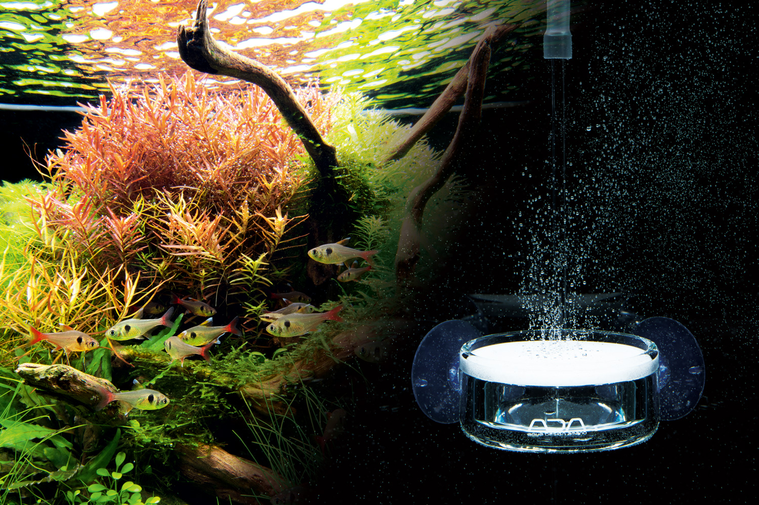 NA PRODUCTS STORY #03 「POLLEN GLASS SERIES」 | AQUA DESIGN AMANO