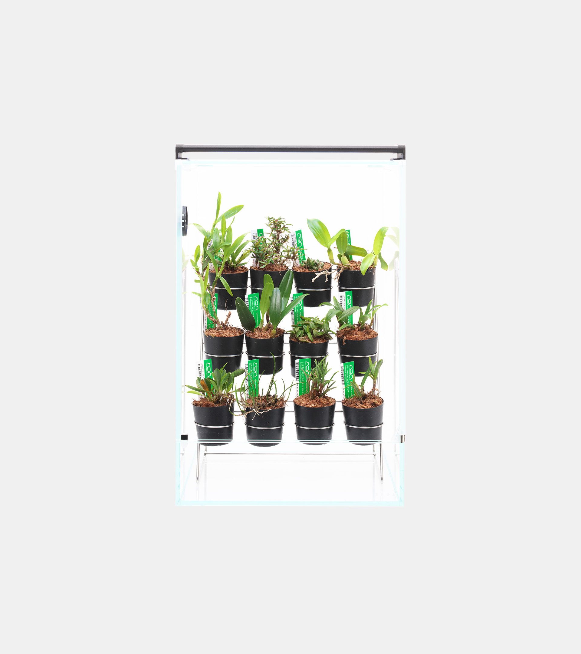 NEO GLASS PALUDA | PRODUCTS | DOOA