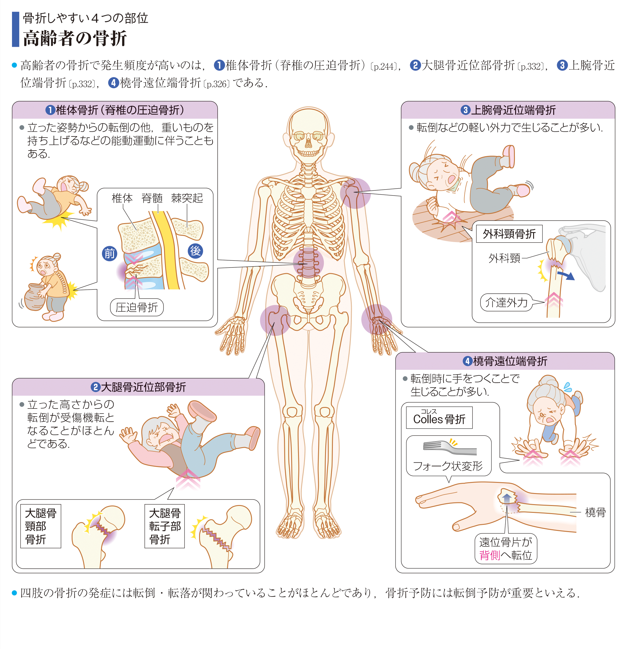 病気がみえる - チーム医療を担う医療人共通のテキスト