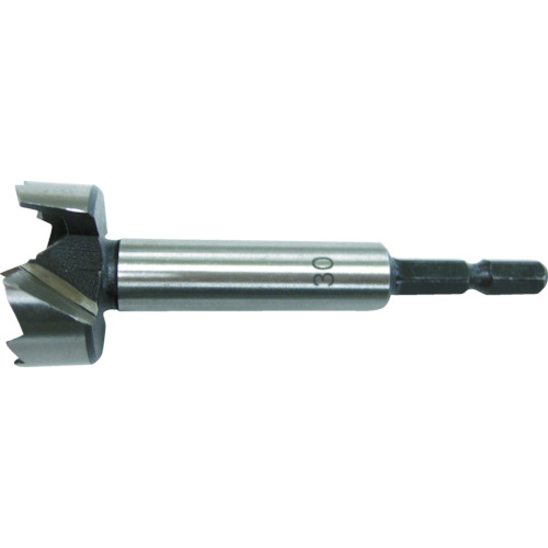 六角軸 座ぐりドリル 刃径×シャンク径:22×6.35mm 26391 RELIEF 木工