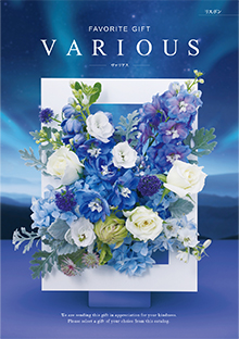 カタログギフトのハーモニック ヴァリアス ボストン