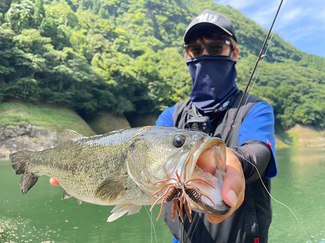 コイケサンダーL HIDEUP ハイドアップ