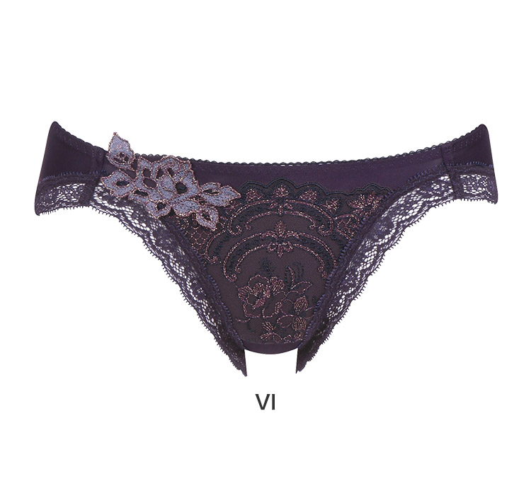 PTJ774｜ワコール サルート 74G スタンダードショーツ 全5色 M-LL 下着