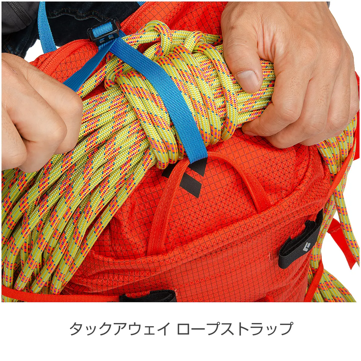 スピードジップ33(S/M オクタン): ブラックダイヤモンド | ロスト