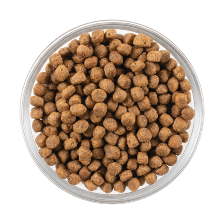 ナウフレッシュ グレインフリー フィッシュアダルトキャット（成猫用