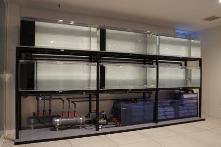 東京都目黒区 M 様 1200×450×450 ×6台オーバーフロー水槽集中濾過システム