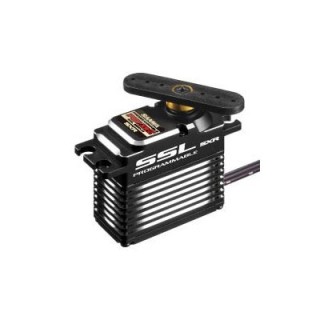 PGS-LHII [107A54477B] - スーパーラジコン