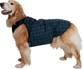 アルファアイコン》エアライナー（大型犬用ウエア）