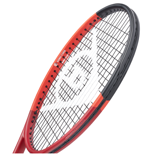 ウインザーオンラインショップダンロップ シーエックス 200 ツアー