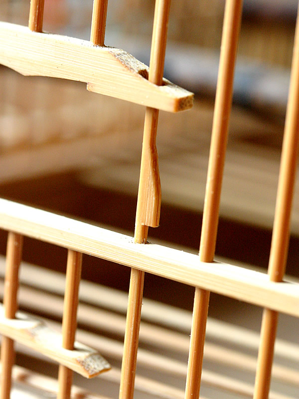 鳥籠の思い出 - 竹虎四代目がゆく！