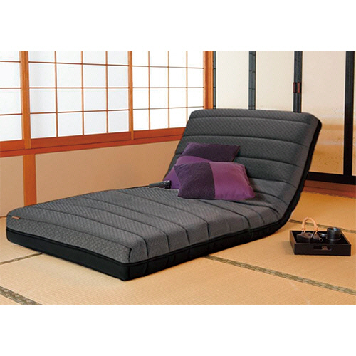 たのめーる】フランスベッド 電動リクライニングマットレス ルーパー