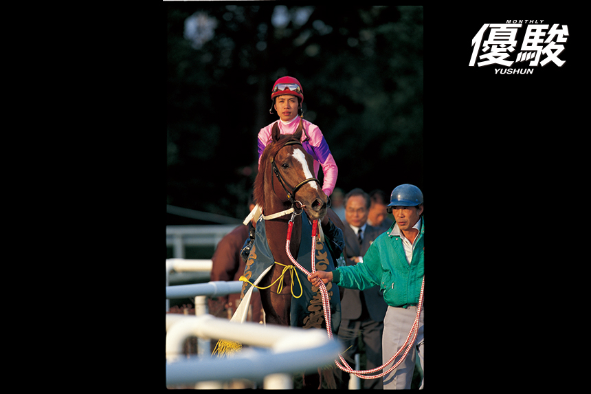 若武者と咲かせた菊の大輪 ナリタトップロードのひたむきさ | ナリタ