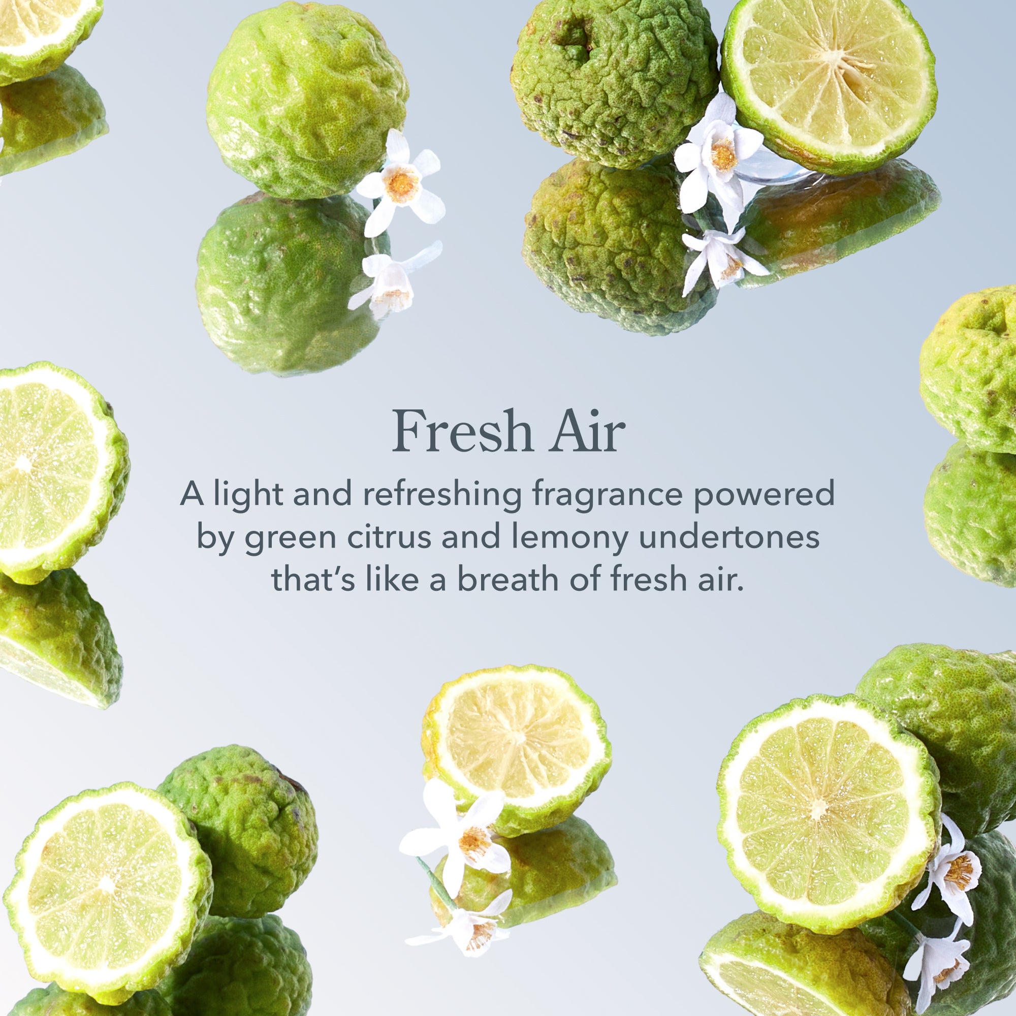 Fresh Air 3-Pack Of Lip Balms