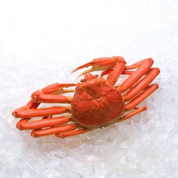 キングマカデミアンJAPAN ずわい蟹 K910020 1セット（直送品） - アスクル