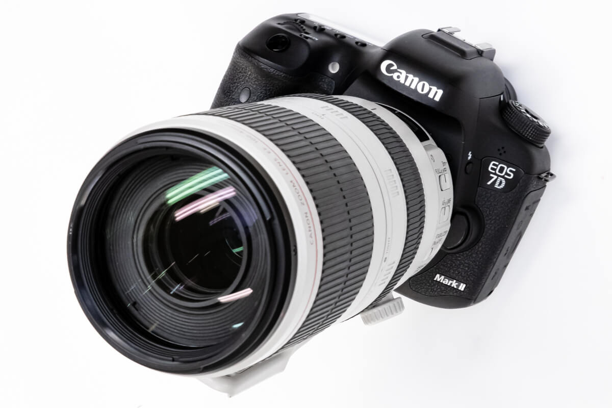 Canon EF100-400mm F4.5-5.6L IS II USM実写レビュー。誰もが憧れる