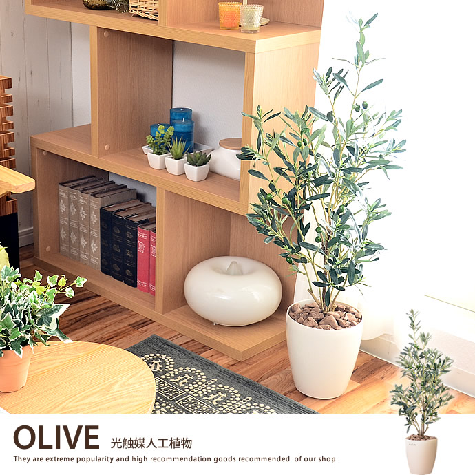 g46024]オリーブ90 観葉植物 | 家具・インテリア通販は家具350【公式】
