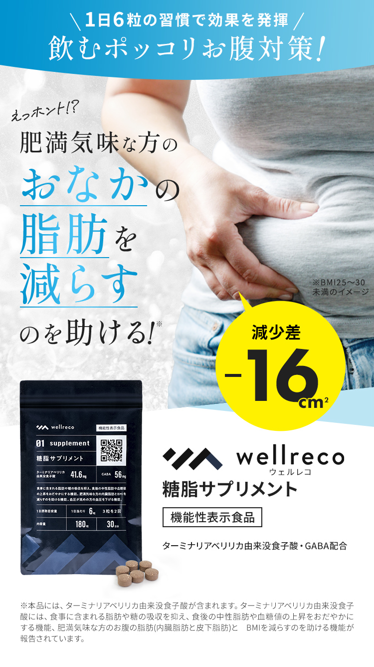 wellreco|糖脂ケアプログラム