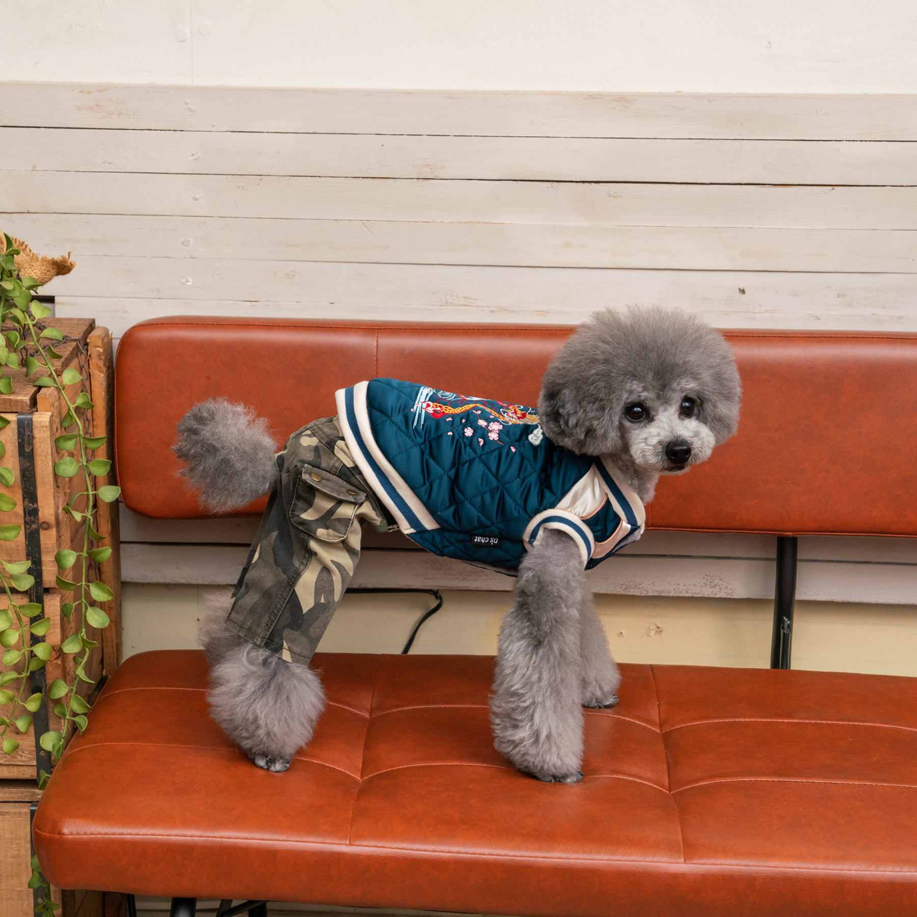 ドラゴン刺繍スカジャン - D's chat