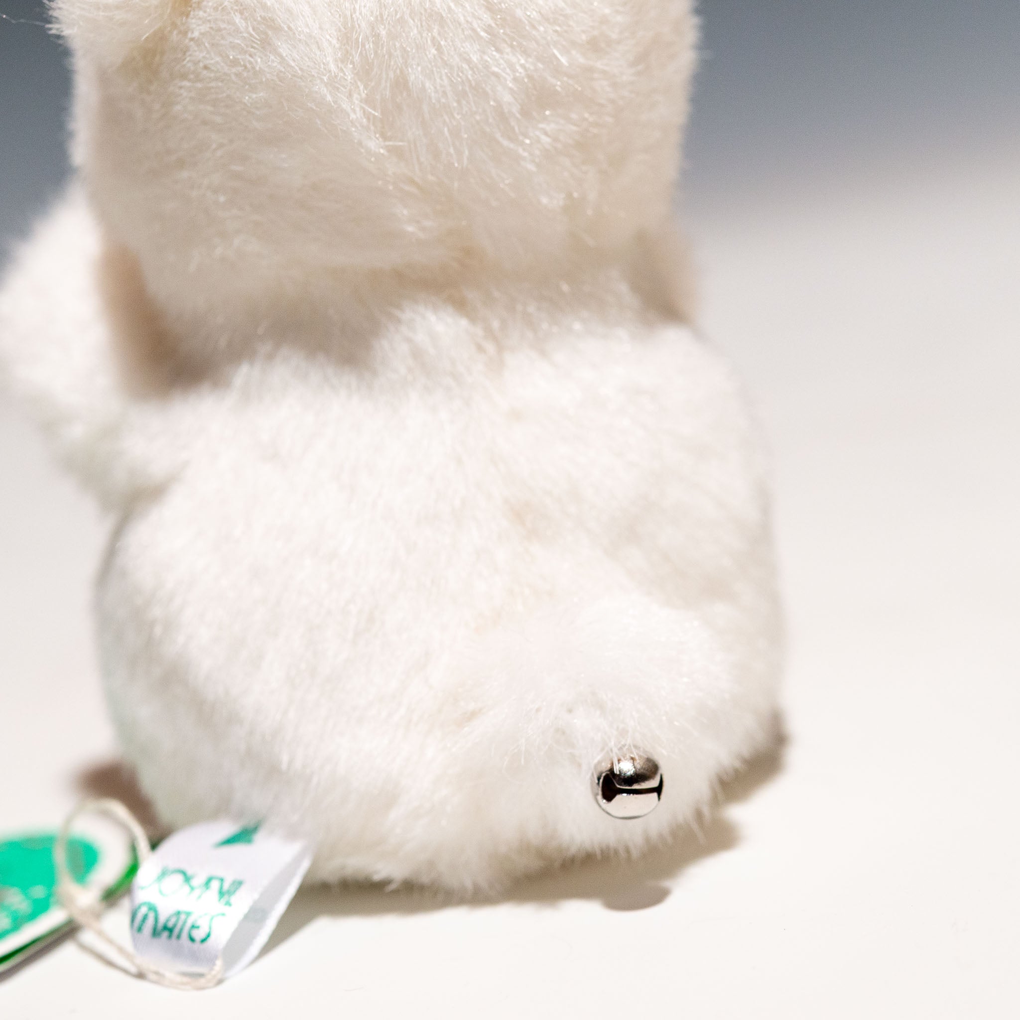 たけのこ TAKENOKO ぬいぐるみ プチプチらんど 森のなかま クマ 白