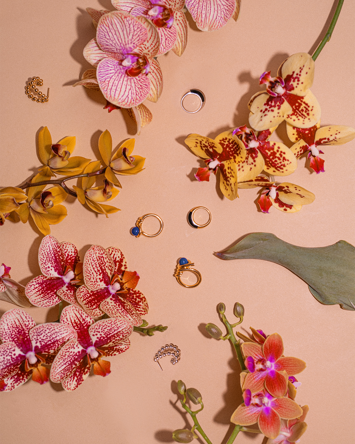 Kinomi Twist Ring - lapis lazuli/Gold | Fauvirame | フォーヴィ