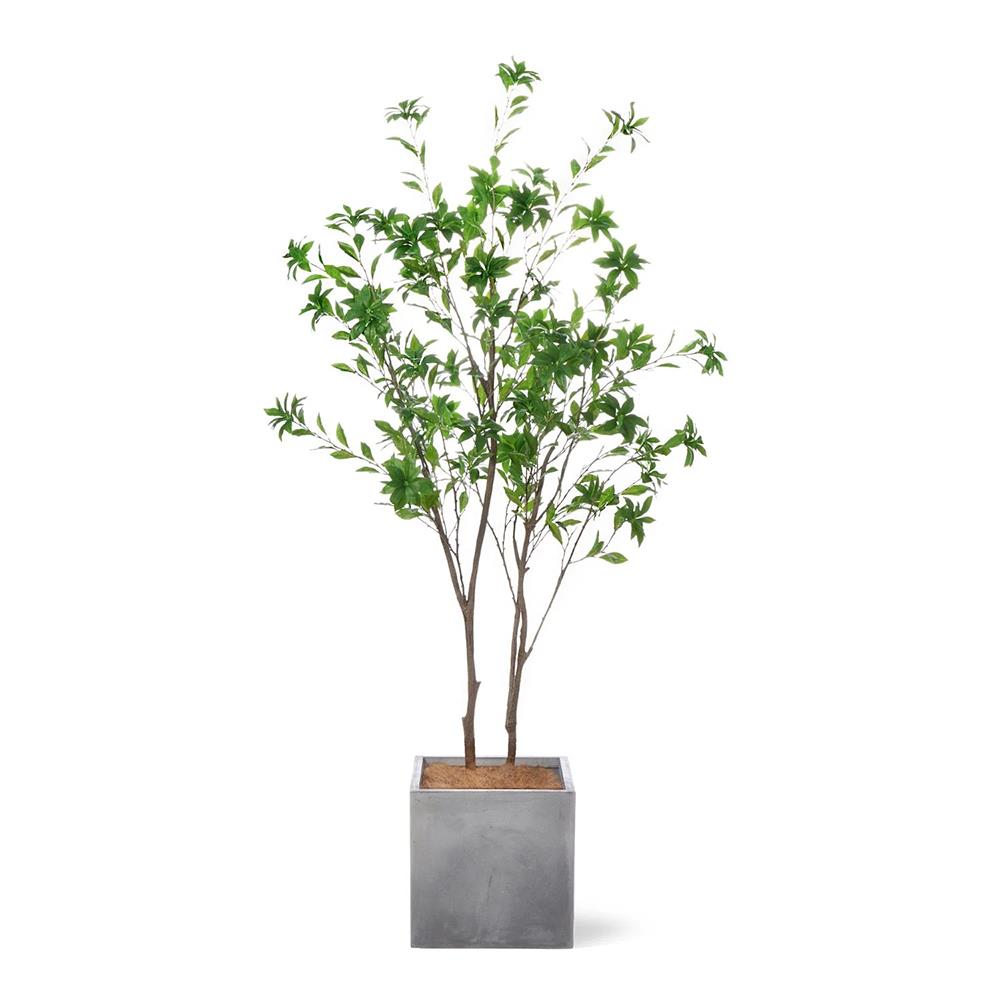 アセビ キューブプランター 高さ215cm フェイクグリーン 観葉植物 の