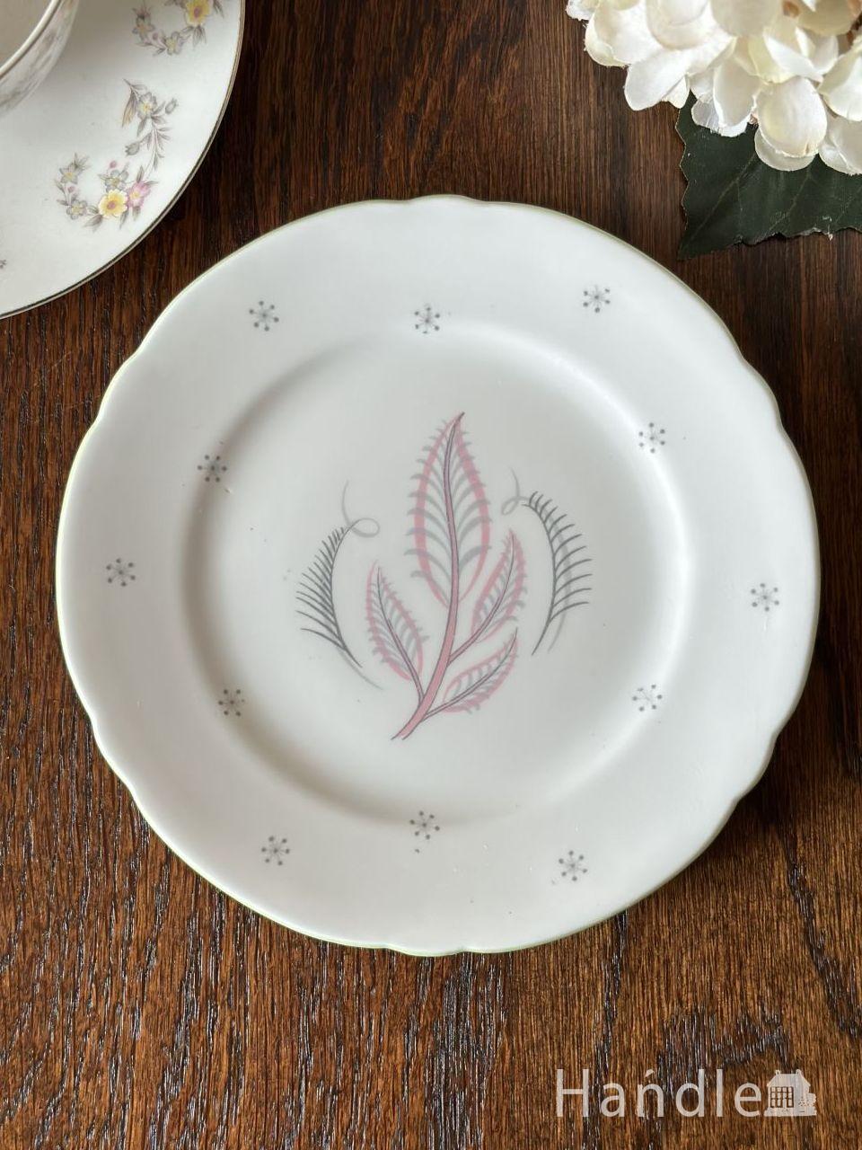 イギリスから届いたシェリーのプレート、葉っぱの模様が描かれた