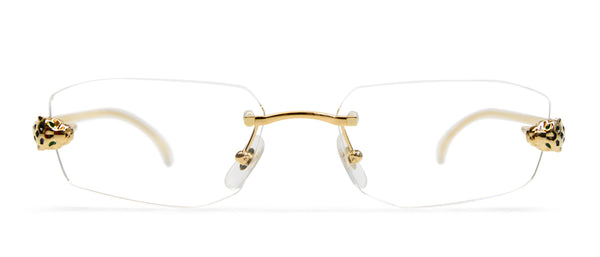 CT0494O – Visionist