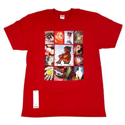 Supreme Original Sin Tee Red SS19T38 Men's Size L | eBay