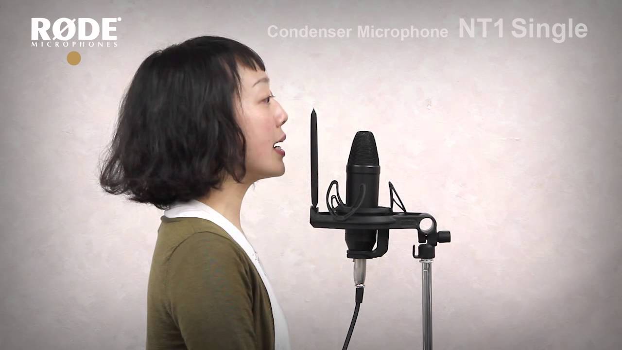 RODE ( ロード ) NT1 Kit 送料無料 | サウンドハウス