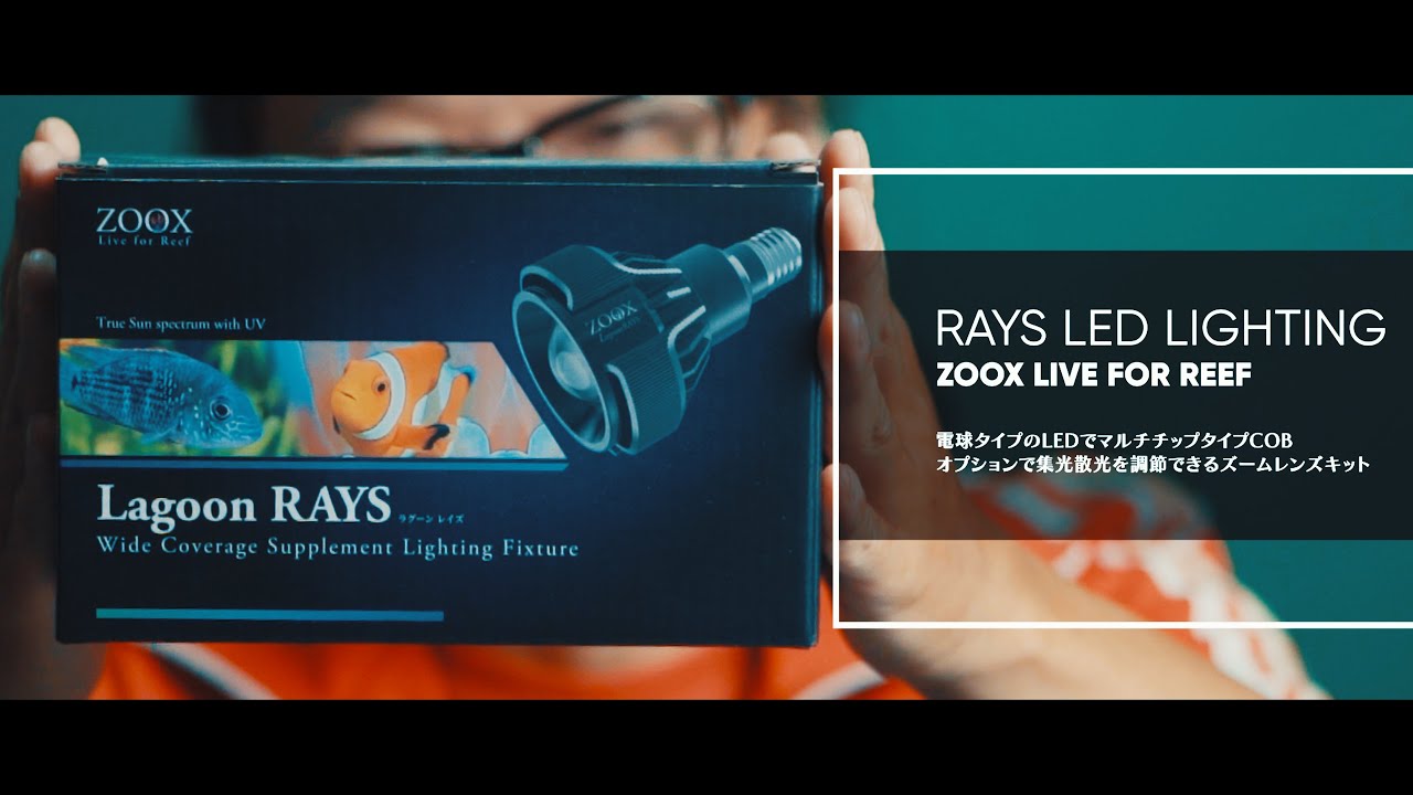 Introducing ZOOX LED Rays, Actinic Rays, Lagoon Rays, and Zoom