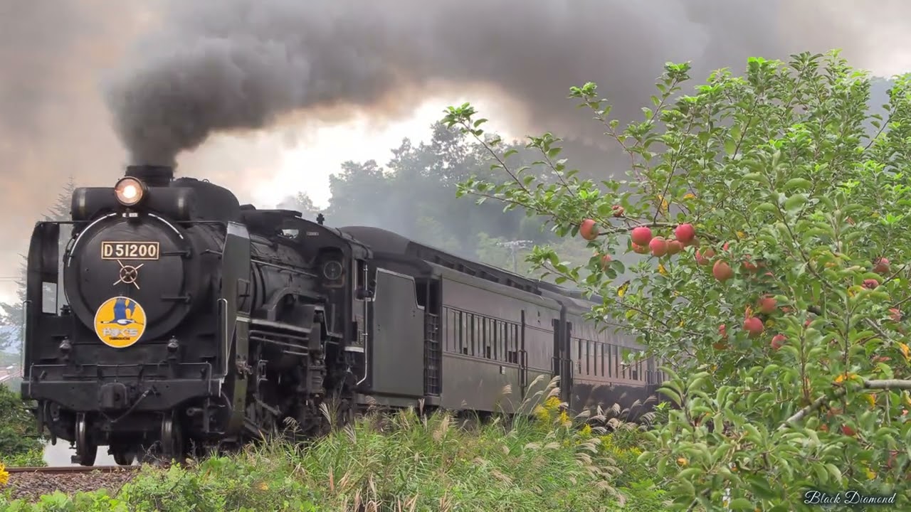 maxresdefault.jpg?sqp=-