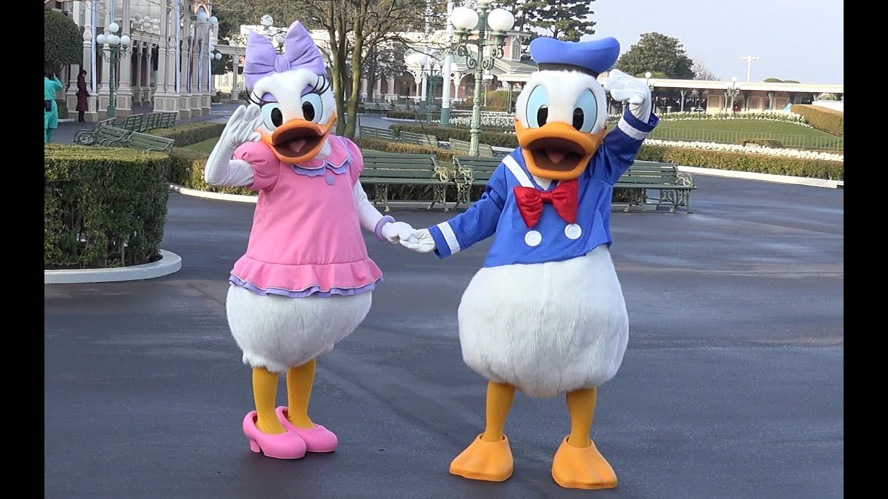 ºoº[ 朝のグリーティング #8 ] ディズニーランド 朝のグリーティング