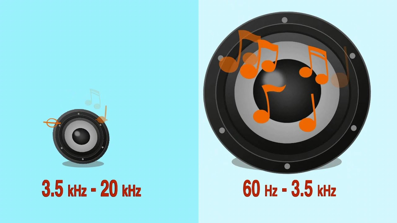 IP663 – E:S CORPORATION