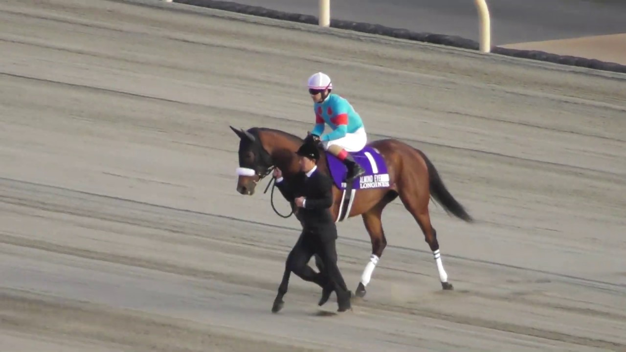 2018 38th Japan Cup G1 Main Racecourse Entrance Video Almond Eye