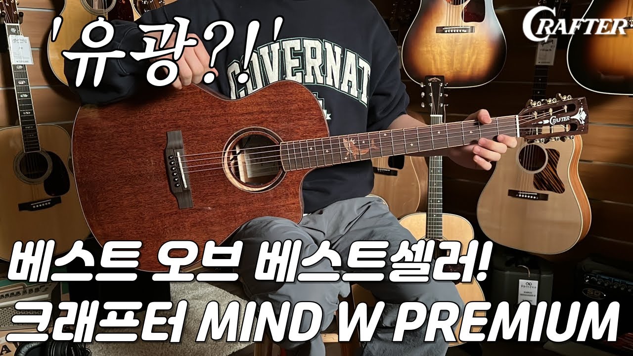 크래프터기타 마인드 W 프리미엄 GCE Crafter Guitar Mind W Premium-Gce