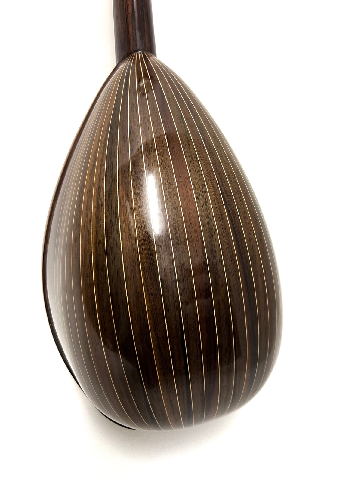 カラーチェマンドリンNo.13 | イケガク