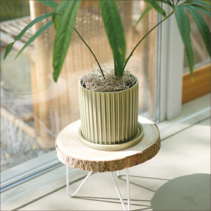 楽天市場】イロ 16 受け皿付き【植木鉢 おしゃれ 鉢カバー ガーデン