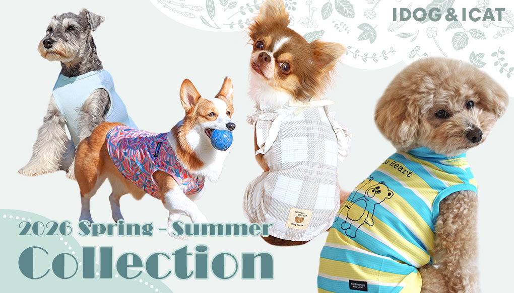 卸売】iDog 知育おもちゃ チンアナゴ アイドッグ|ペット 犬 おもちゃ