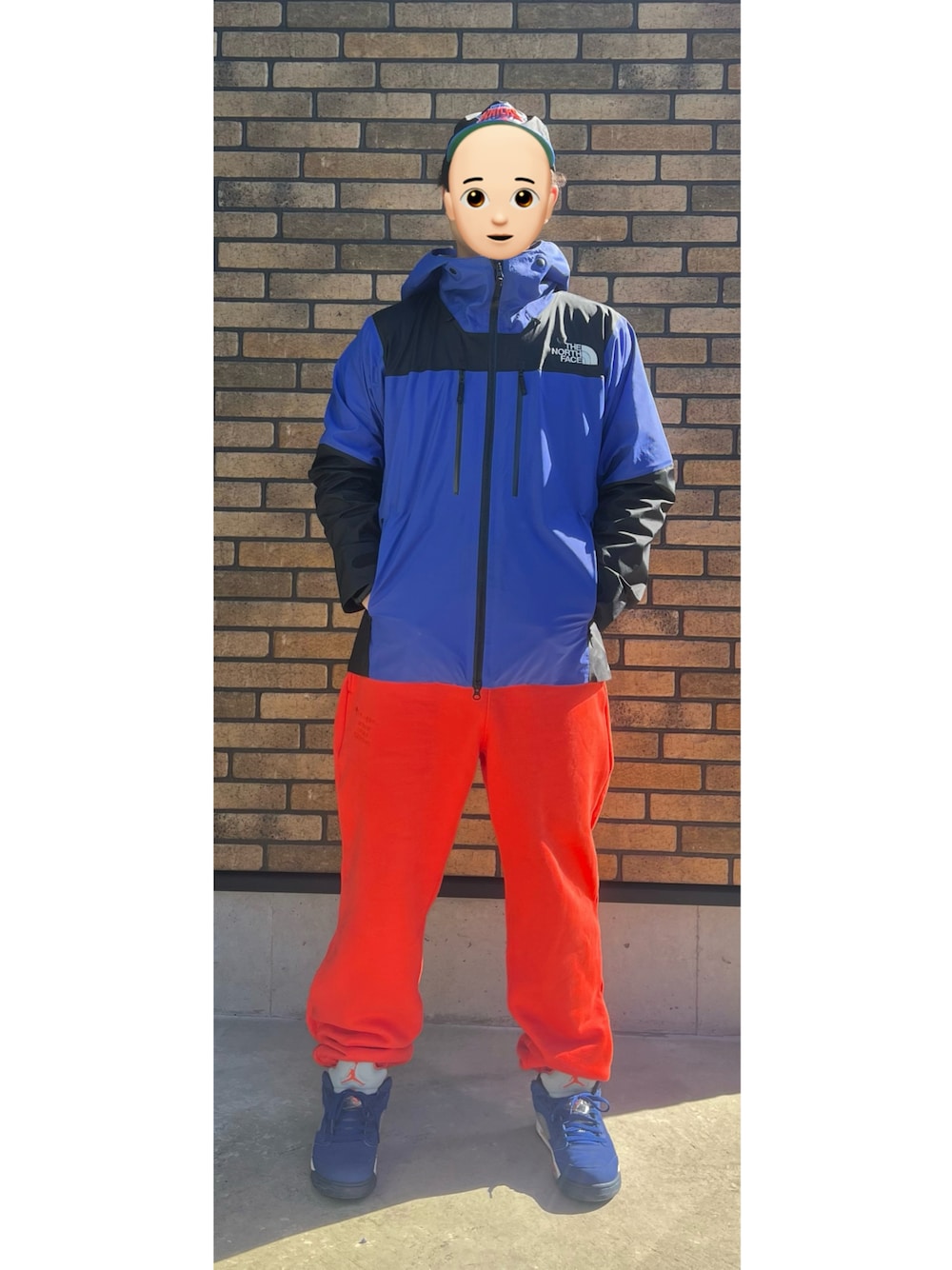 ザノースフェイス/18AW/BEAMS別注/MULTIDOORSY BIB/ L 冬のフィールド