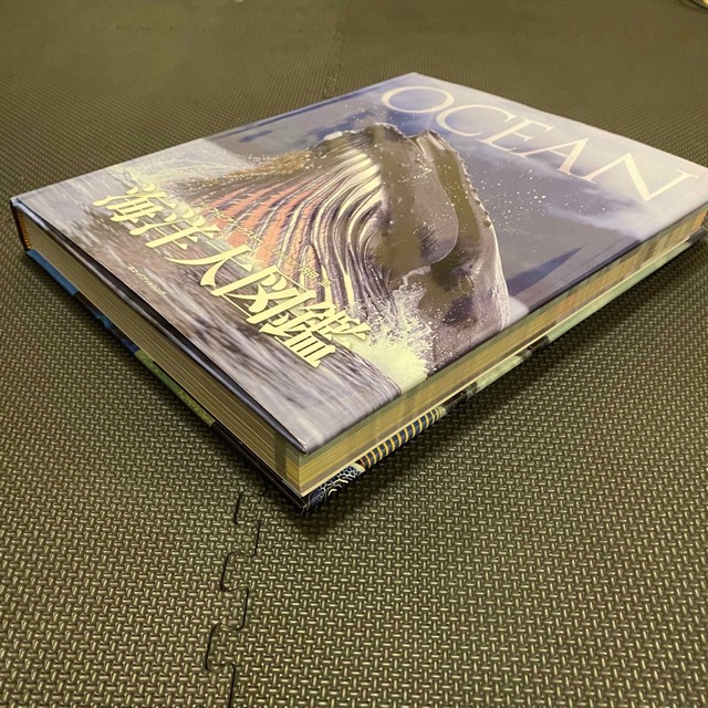 ☘希少 海洋大図鑑 2冊セット海洋大図鑑 世界動物大図鑑 ☘